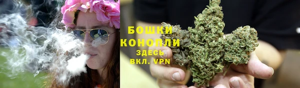 соль ск Бронницы