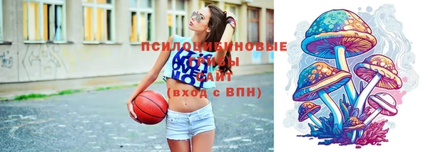 дурь Верхний Тагил