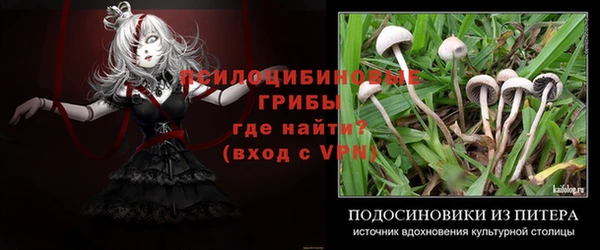 дурь Верхний Тагил