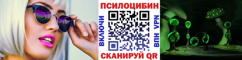 Галлюциногенные грибы Psilocybine cubensis  Грязовец 